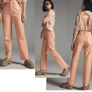 Agolde peach pink Pleather 90's Pinch Waist straight leg pants Faux leather
